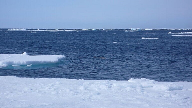 الجزر تظهر وتختفي في القطب الشمالي بسبب المناخ